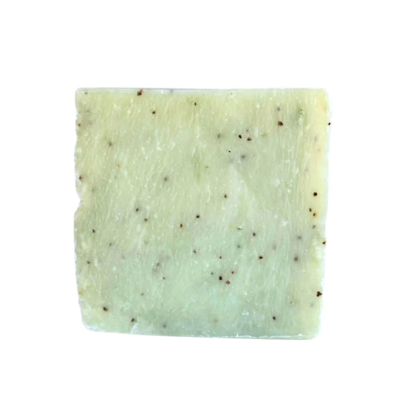 Lathr Soap Bar- Sour Spritz